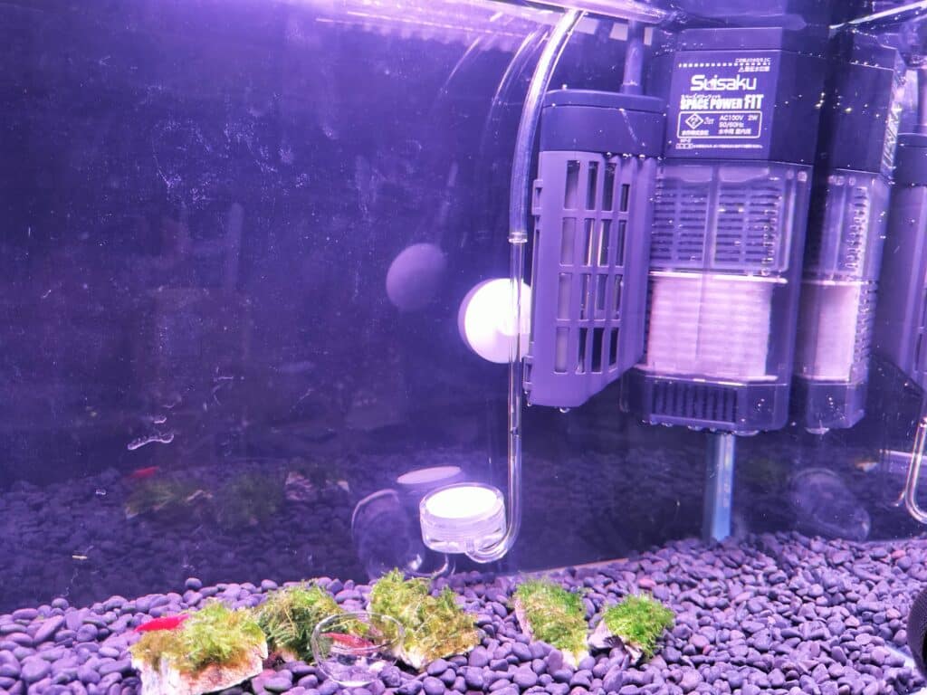 リセットした