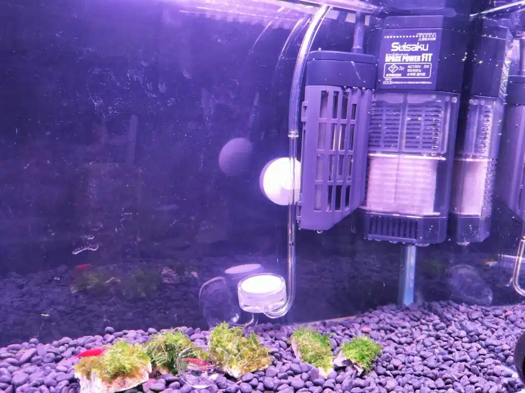 リセットした